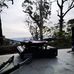 Rubicon State Forrest - Morris Lookout - Facebook