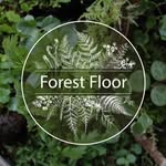 Forest Floor, Moss Terrariums - @forest_floor_terrarium - Instagram