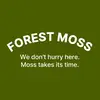 forest moss - @forest.moss6 - TikTok