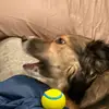 moss forrest - @moss.forrest - TikTok