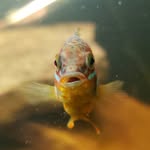 Forrest Murphy - @emeff_murphy - Instagram
