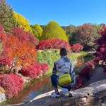 Forrest Nguyen - @trungnguyen_2703 - Instagram