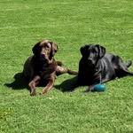 Cyres Forrest Norton - @cyres_forrest - Instagram