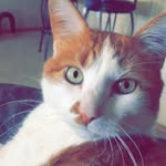 Forrest P. Norton - @forrest.p.norton - Instagram