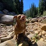 Forrest Ogden - @forrestogden_ - Instagram