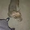 Denstheguy88 - @streetsforever - TikTok