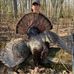 Forrest Patterson - Facebook