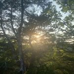 Forrest payne - @fof0payne17 - Instagram