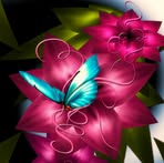 Barbara Pendleton - Facebook