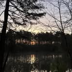 Forrest Pettay - Facebook