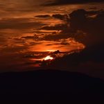 Forrest preston - @jesus_chribus_photos - Instagram