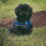 Forrest Quinn - @gamingweekly1955 - Instagram