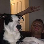 Forrest Quinn - @forrest.q.t - Instagram