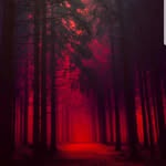 Forrest Redd - @forrestredd91 - Instagram
