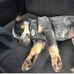 Forrest A Rief - Facebook