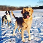 Forrest and Riley - @forrestandriley - Instagram