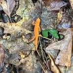 Forrest Riley - Facebook