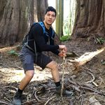 Forrest Rogers - @nano_tyrannus - Instagram