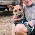 @therealsavageforrest - Instagram