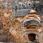 Forrest Schaefer - @forrestschaefer8 - Instagram