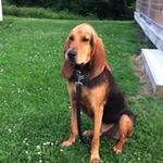 Susan Deforest-Schaffer - @susandeforestschaffer - Instagram