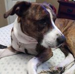 Forrest Scott Seale - Facebook