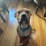 Forrest Simms - @fgsimms - Instagram