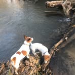 Forrest Small - Facebook