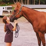 Forrest's shop - @forrest_smallshop - Instagram