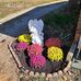 Forrest Smith - Facebook