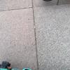 Forest Snow - @forest.snow - TikTok
