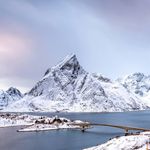 snow.forrest - @snow.forrest - Instagram
