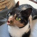 @stokesforrestor - Instagram