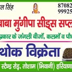 Forest Seed - Facebook