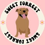S W E E T ✨ F O R R E S T - @sweet.forrest - Instagram