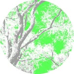 Forest Temple - @foresttemplepanama - Instagram