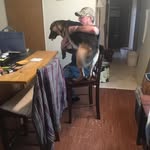 Forrest Thomas - @forrest.thomas.148 - Instagram