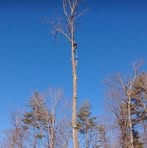Forest Denny - Facebook