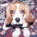 Forrest Underwood - Facebook