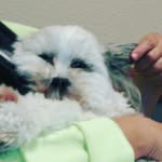 Forrest Vincent - @forrest.vincent - Instagram