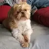 Forrest Vincent - @forrest014 - TikTok