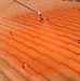 Forrest roof &amp; wall coatings - Facebook