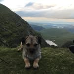 Forrest Wall - @_adventures_of_forrest_ - Instagram
