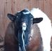 Forrest Walling - Facebook