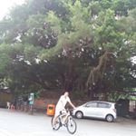 Wallace FORREST - @wallace.forrest - Instagram