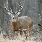 Forrest Walsh - @forrest.walsh.52 - Instagram