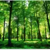 Forest Waters - @forestwaters99 - TikTok