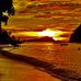 Forest Waters - Facebook