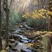 Forrest Waters - Facebook