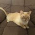Forrest West Animal Clinic - Facebook